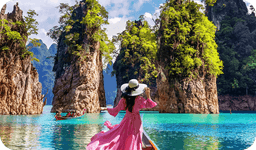 Airplane illustration